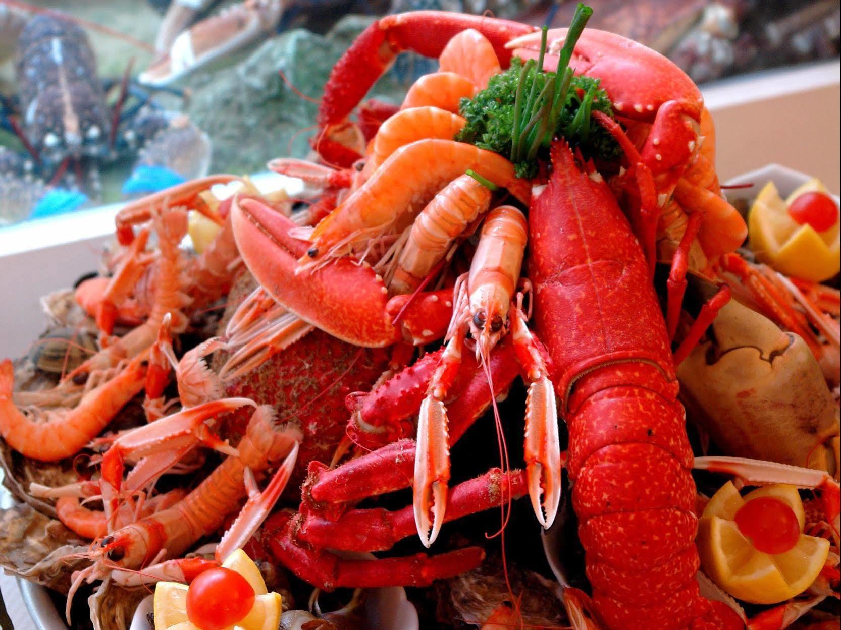 Logis Hotel Les Chardons Bleus Restaurant Le Bistrot De La Mer Роскофф Екстер'єр фото